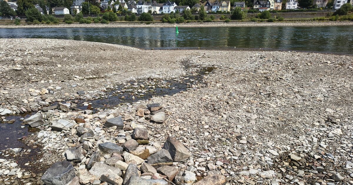 Riverbed dries up: Ahr estuary silts up due to persistent heat