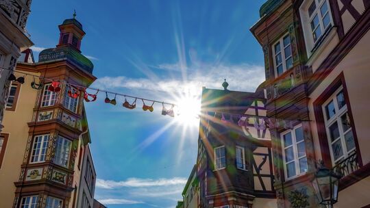 Tausende BHs haben Frauen aus ganz Deutschland schon vergangenes Jahr für die Aktion in der Koblenzer Altstadt gespendet. So wir