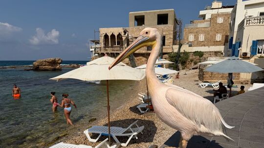 Libanon: Pelikan-Dame «Pelikanchen» Libanon: Pelikan-Dame «Pelikanchen»