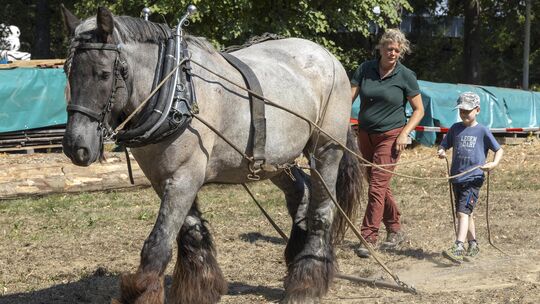 Manuela Zimmermann zeigt Kindern und Erwachsenen, wie das historische, aber inzwischen wieder verstärkt praktizierte Holzrücken