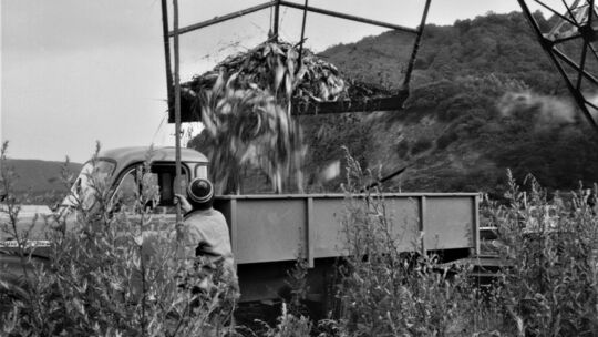 Recherchen unserer Redaktion ergaben: Nicht nur 1976 gab es ein großes Fischsterben in der Mosel, sondern auch schon im Sommer 1