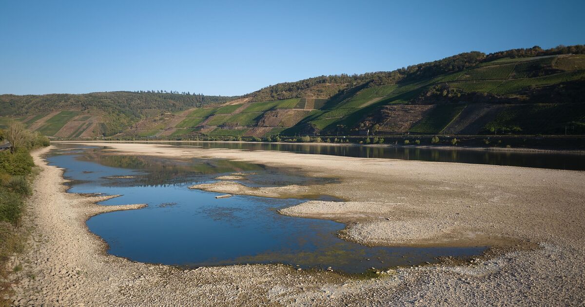 After warning on the Ruhr: Drug residues in the Rhine due to low water ...