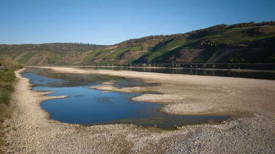 Riesige Sandbänke sind im Rhein bei Osterspai entstanden. Auch wenn es zuletzt geregnet hat, bleibt die Niedrigwasserlage vor al