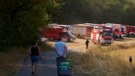 Ein Großaufgebot der Feuerwehr, darunter auch Einsatzkräfte aus dem Kreis Ahrweiler, bekämpfte Mitte August einen Waldbrand bei