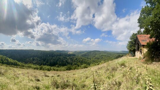 Das hoch über dem Hottenbachtal gebaute Wingertshaus dient heute nur noch Privatleuten als Unterkunft - die Weinlage davor, eins