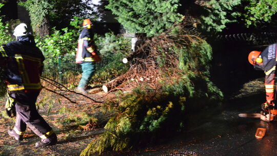 Die Feuerwehr der VG Montabaur entfernt einen umgestürzten Baum von einer Straße in Boden.