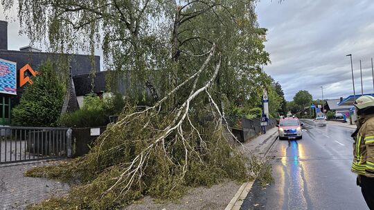 In Mayen musste die Feuerwehr unter anderem wegen dieses umgestürzten Baumes ausrücken. In Mayen musste die Feuerwehr unter anderem wegen dieses umgestürzten Baumes ausrücken.