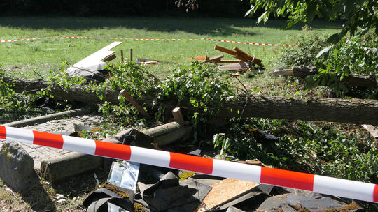 In Waldorf stürzte ein Baum auf zwei Spaziergängerinnen. Dabei wurde eine 47-Jährige schwer und eine 58-Jährige tödlich verletzt