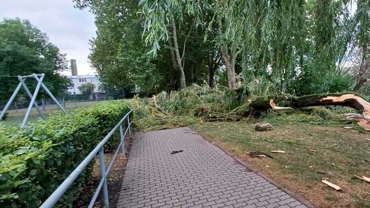 Das Aufräumen nach dem Unwetter am Mittwochabend wird noch eine Weile dauern, sagt die Neuwieder Stadtverwaltung.