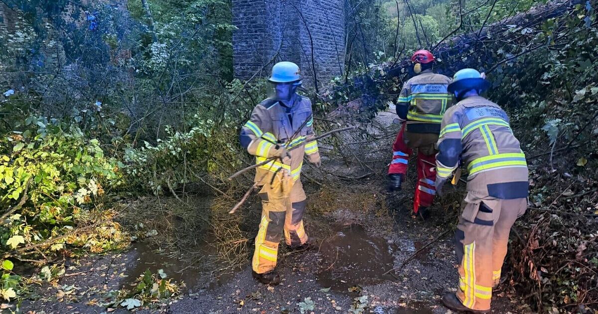 Castle park remains closed: After severe storm: Bendorf was lucky