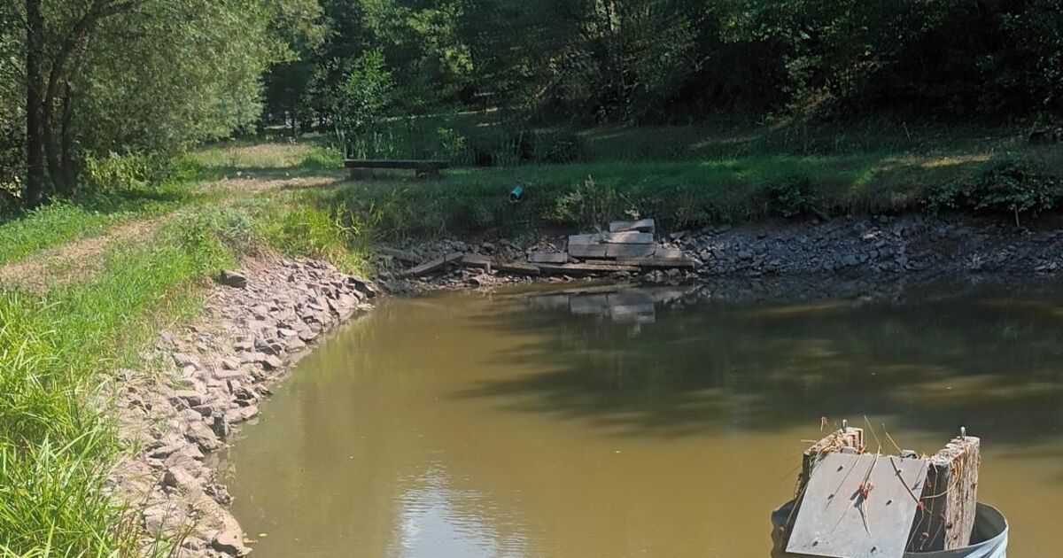 Stausee für Ruschberg?: Rat will am Eschelbach einen Wasserrückhalt ...