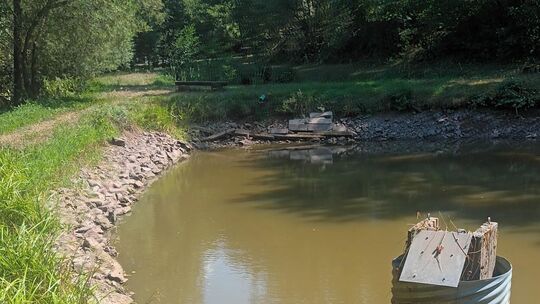 Am Fischweiher der Natur- und Angelfreunde am Eschelbach ist gut zu erkennen, wie stark der Wasserspiegel in den vergangenen Woc