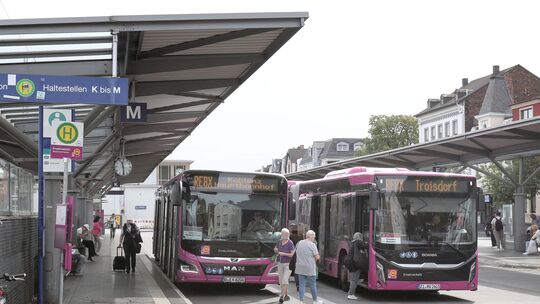 Busse, wohin das Auge reicht: Da fällt den Neuwiedern die Wahl manchmal schwer.