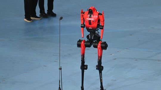 World Humanoid Robot Games World Humanoid Robot Games