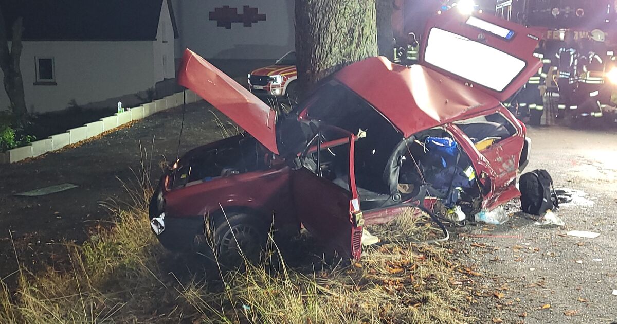 Polo prallt gegen Baum: Ein Toter und drei Verletzte bei Autounfall