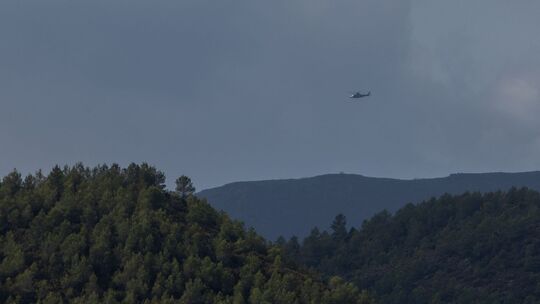 Spanien - Waldbrand Spanien - Waldbrand