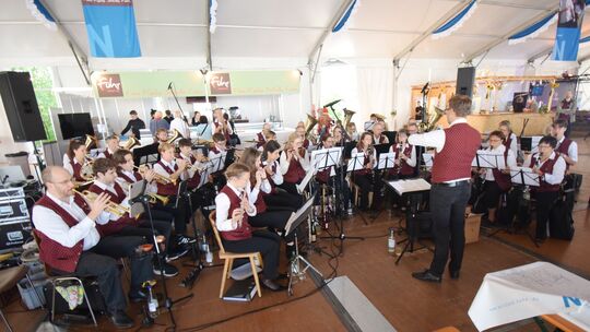 Die Musikfreunde Winzenheim sorgten für wunderbare musikalische Stimmung beim Sonntagsfrühschoppen im Naheweinzelt.