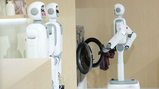 Haushaltsroboter