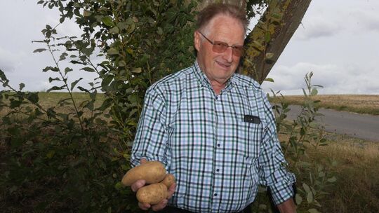 Für knusprig frische Kröbbelchen, das Leibgericht der Kottenheimer, müssen die Knollen von hervorragender Qualität sein. Kartoff