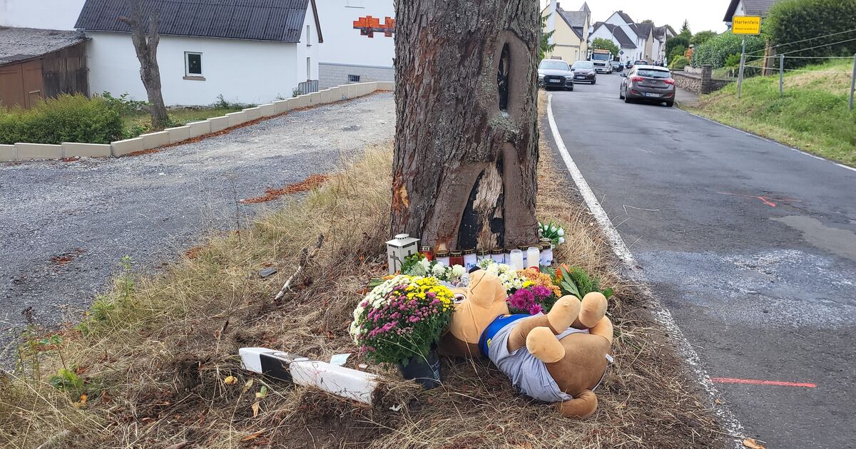 18-year-old dies in accident: Hartenfels was a scene of horror for rescue ...