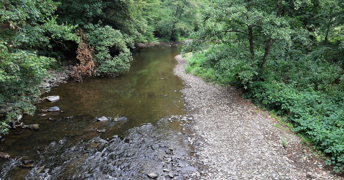 Drought worries anglers: Low water levels in the Wied River also concern ...