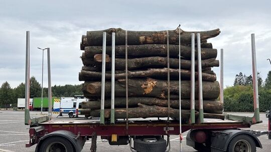 Holztransport mit 46,6t zu schwer und zu hoch Holztransport mit 46,6t zu schwer und zu hoch