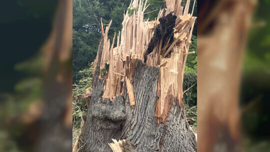 Mit welcher Gewalt der Tornado vieles mit sich riss, kann man hier erahnen.