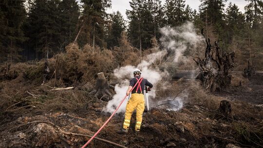 Waldbrand im Hohen Venn Waldbrand im Hohen Venn