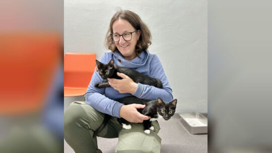 Andrea Opper kümmert sich im Tierheim Ransbach-Baumbach ehrenamtlich um die Katzen und ist auch Pflegestelle. Derzeit suchen 34