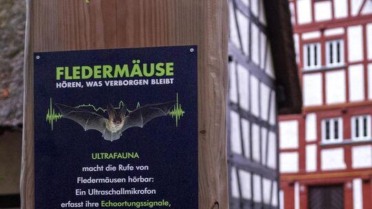 Das kostenlose „Ticket“ zum Livekonzert der Fledermäuse im Hachenburger Burggarten erhält man, indem man mit dem Smartphone eine