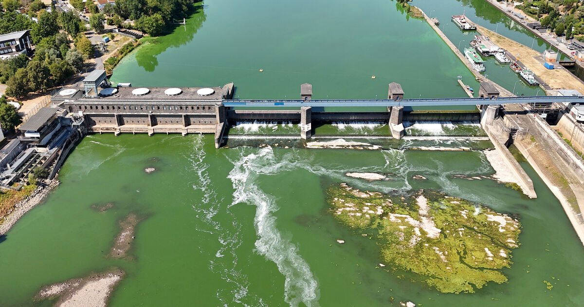 Veränderungen in der Mosel: Wieso ist so viel Schaum hinter der Staustufe ...