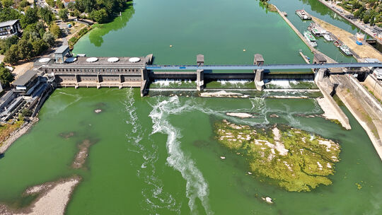 Grüne Schlieren auf dem Wasser: Bei der Staustufe Koblenz sind die Blaualgen im August deutlich. Doch auch ein weiteres Phänomen