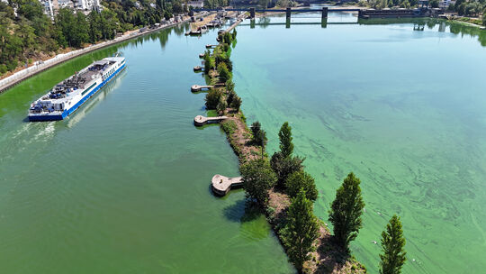 Die Mosel sieht bei der Koblenzer Staustufe im August besonders grün aus. Die Mosel sieht bei der Koblenzer Staustufe im August besonders grün aus.