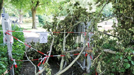 Nach dem Unwetter ist der Friedhof in Wirges noch gesperrt. Insgesamt sind die Aufräumarbeiten aber schon sehr gut vorangekommen