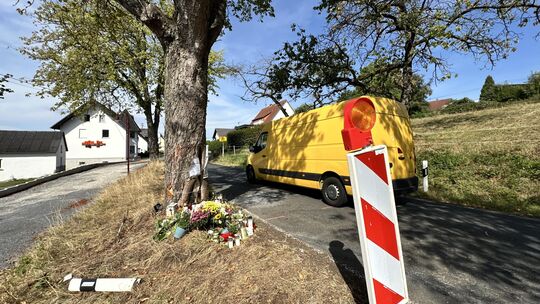 Warnbaken stehen vor und hinter dem Baum in der Hartenfelser Alleestraße, an dem am Wochenende, 22./23. August, ein Auto zersche