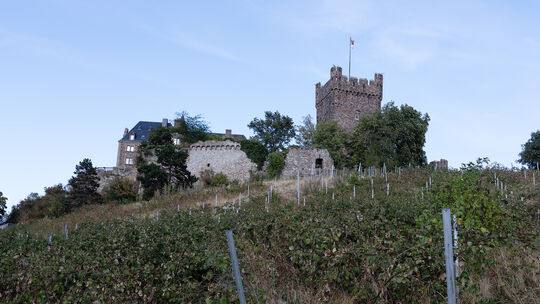 Das Umfeld um die Burg Klopp wurde in die Städtebausanierung von Bingen mit aufgenommen.
