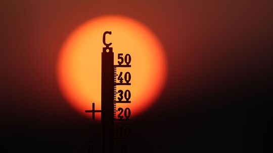 Hitze und Trockenheit – davon waren viele Wochen des diesjährigen Sommers auch im Kreis Mayen-Koblenz geprägt. Hitze und Trockenheit – davon waren viele Wochen des diesjährigen Sommers auch im Kreis Mayen-Koblenz geprägt.