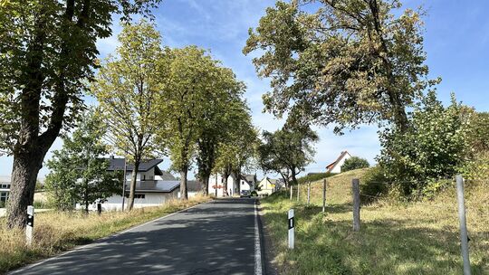 Viele schwere Unfälle haben sich an den Alleebäumen vor dem Ortsschild von Hartenfels schon ereignet. Zuletzt hat dort vor wenig