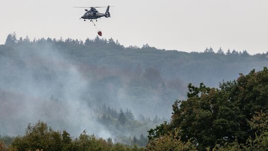 Der heiße und trockene Sommer hat Waldbrände begünstigt. Jüngst hat ein Großbrand im nordrhein-westfälischen Hürtgenwald für Auf