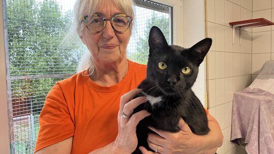 Kerstin Löbnitz, Vorsitzende des Vereins, kümmert sich mit ihrem Team um zahlreiche Katzen, sowie Hunde, Kaninchen und Ziegen. I