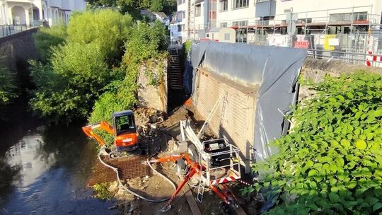 Um eine Gefährdung der Spaziergänger auszuschließen, muss das Wurzelwerk des Knöterichs langfristig entfernt werden.