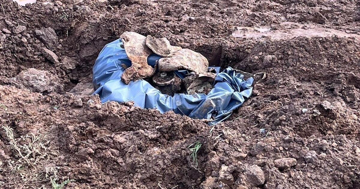 Evacuation went according to plan: Operation in Fürthen: Incendiary bomb ...