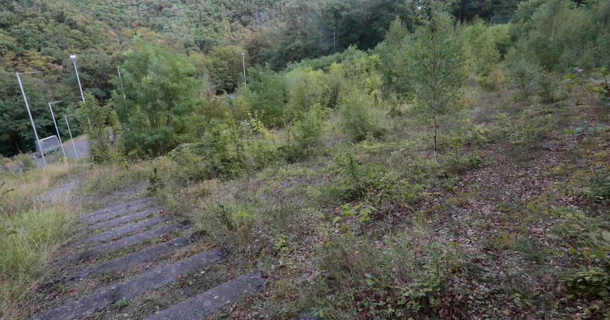 Lost Place in Vallendar: Neues Leben soll in die Schönstatt-Arena