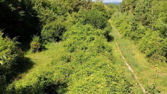 Wanderweg auf der alten A4 Wanderweg auf der alten A4