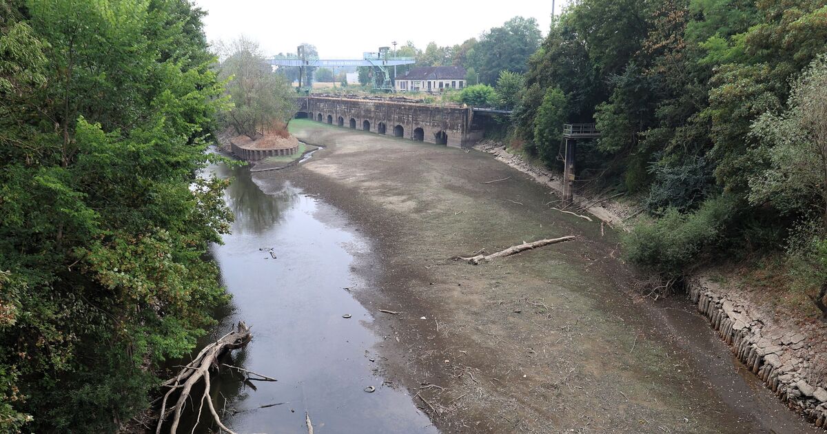 Danger to local waters: Low water threatens life in streams in the Neuwied ...