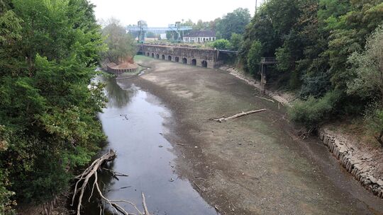 In Irlich stand das Wasser der Wied im August extrem niedrig.