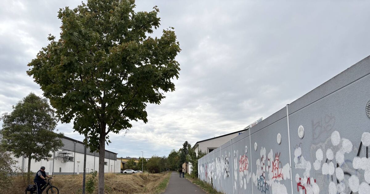 Sexual offenses in Wittlich: Hardly any light between Ohling | and ...
