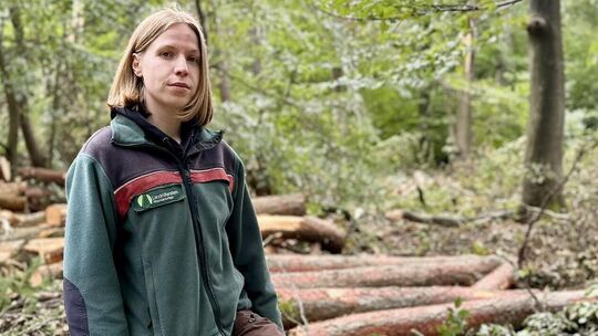 Das Unwetter vom 19. August hat im Wald der Verbandsgemeinde Ransbach-Baumbach große Schäden angerichtet. Die Aufarbeitung wird Das Unwetter vom 19. August hat im Wald der Verbandsgemeinde Ransbach-Baumbach große Schäden angerichtet. Die Aufarbeitung wird