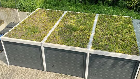Die Dächer auf den Garagen der Mayener Stadtverwaltung sind bereits begrünt. Jetzt liefert ein Dachkataster Informationen, inwie