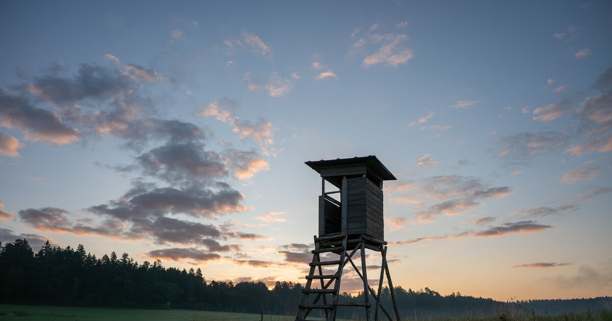 Tragic accident near Dürrholz: Two other hunters were present when the ...